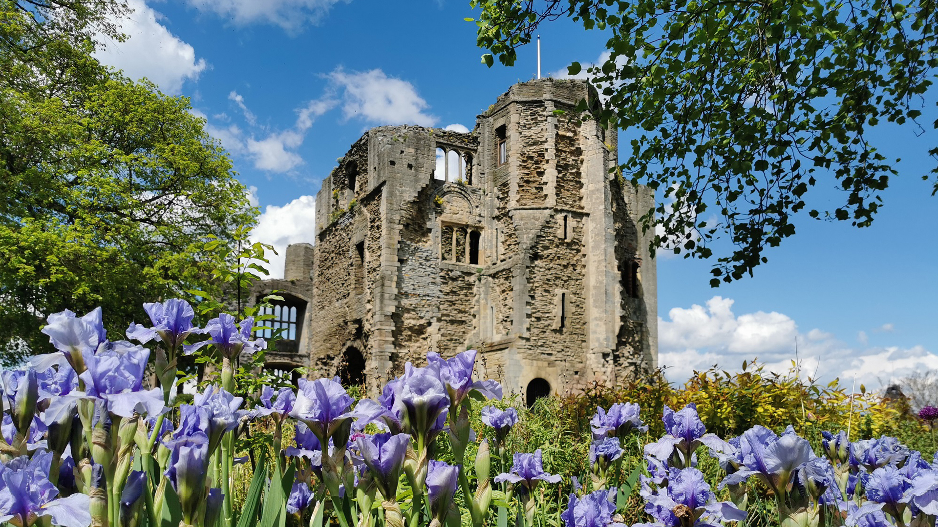 Newark Castle in spring