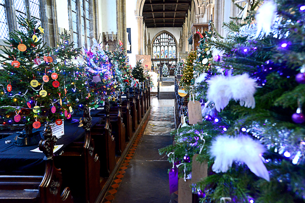 Christmas tree festival